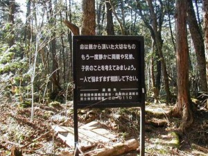 bosque_suicidas_japon.jpg